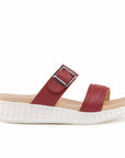 Spec Slippers