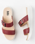Spec Slippers